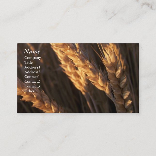 Wheat Field - Business Cards (Front)