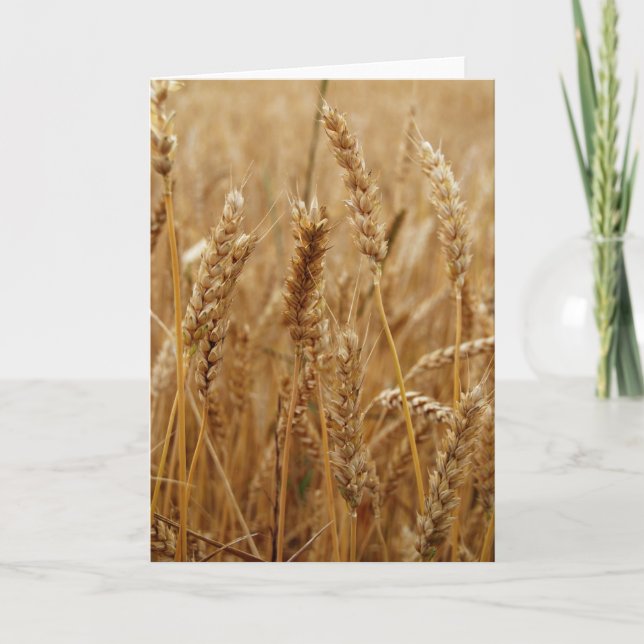 Wheat Field Card (Front)