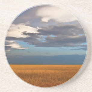 Wheat Field Fine Oil Painting Drink Coaster