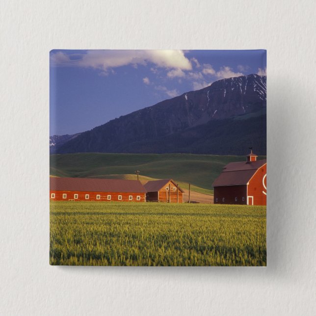 Wheat field in the Wallowa Valley, Just outside 2 Inch Square Button (Front)