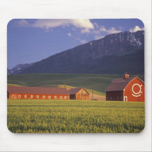 Wheat field in the Wallowa Valley, Just outside Mouse Pad