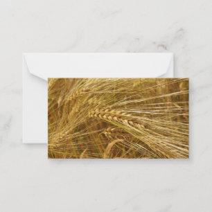  Wheat field. It’s Harvest Time!  Card