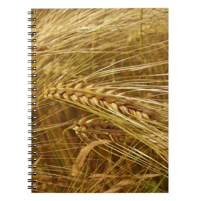  Wheat field. It’s Harvest Time!  Notebook (Front)