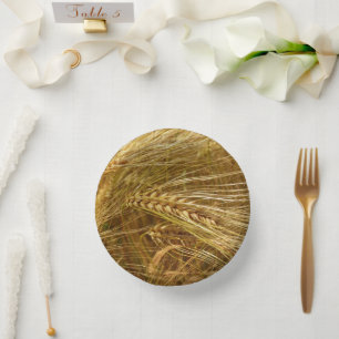  Wheat field. It’s Harvest Time!   Paper Plate
