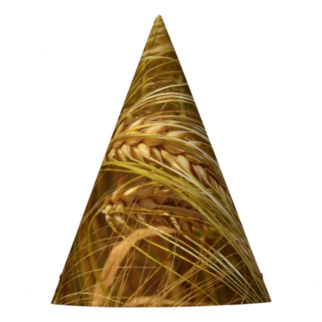  Wheat field. It’s Harvest Time!  Party Hat (Front)