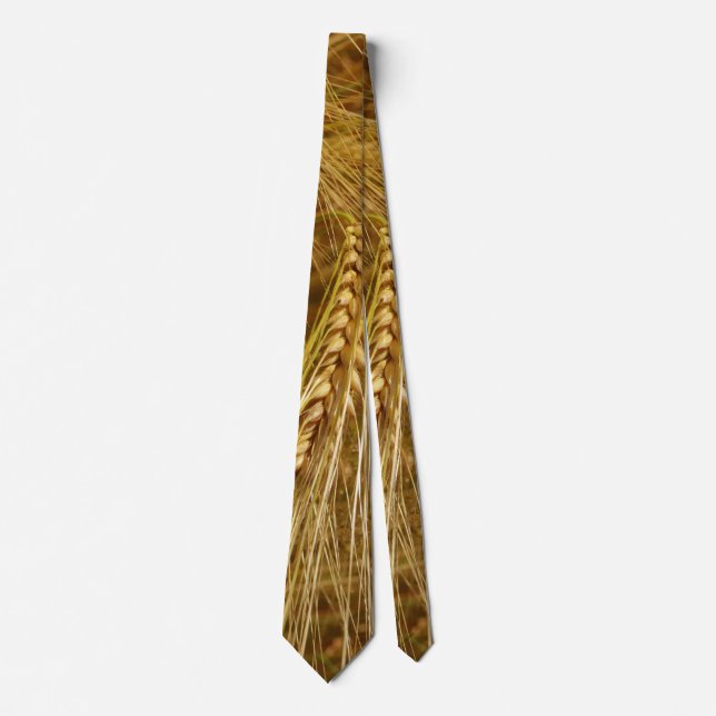  Wheat field. It’s Harvest Time!   Tie (Front)