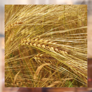  Wheat field. It’s Harvest Time!   Window Cling