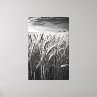 Wheat Field: Monochrome Rural Charm Canvas Print