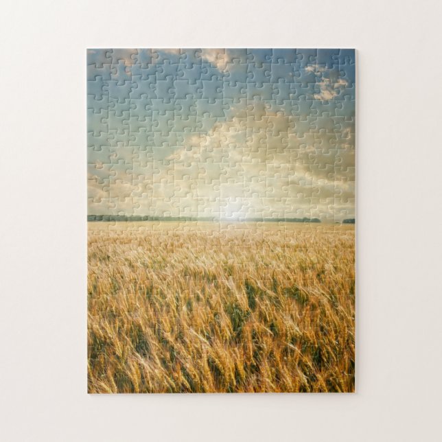 Wheat field on sunset jigsaw puzzle (Vertical)