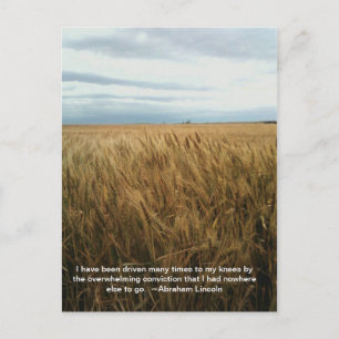 wheat field prayer postcard