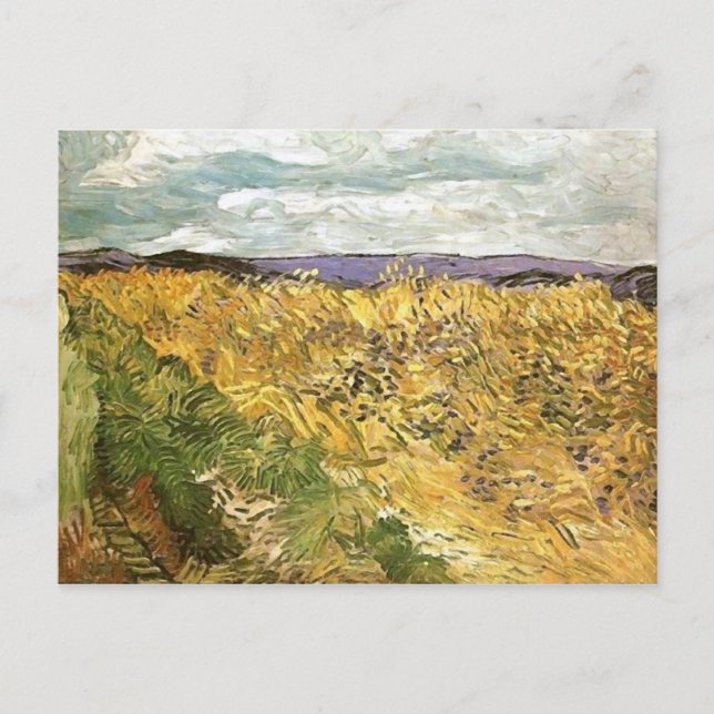 Wheat Field with Cornflowers Van Gogh Fine Art Postcard (Front)