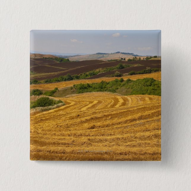 Wheat fields after harvest 2 inch square button (Front)