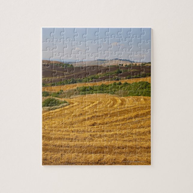 Wheat fields after harvest jigsaw puzzle (Vertical)