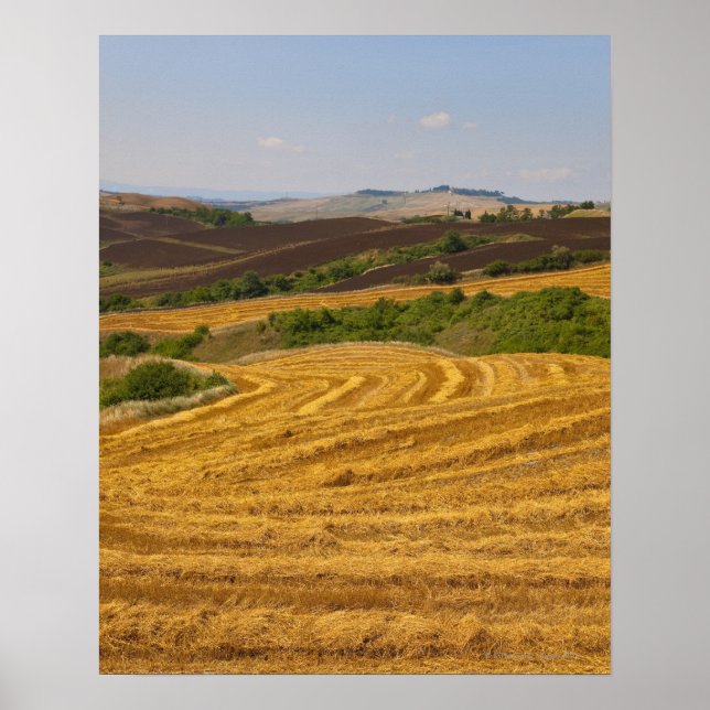 Wheat fields after harvest poster (Front)