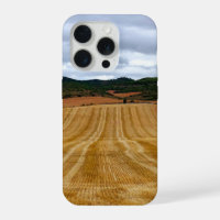 Wheat fields