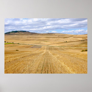Wheat fields poster