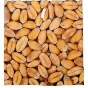 Wheat grains food cereals