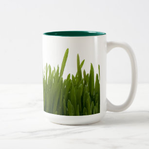 Wheat Grass Mug