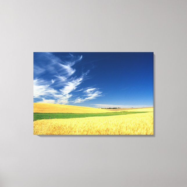Wheat harvest on the Palouse in Eastern Canvas Print (Front)