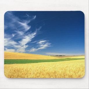 Wheat harvest on the Palouse in Eastern Mouse Pad