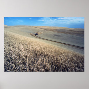 Wheat harvest poster