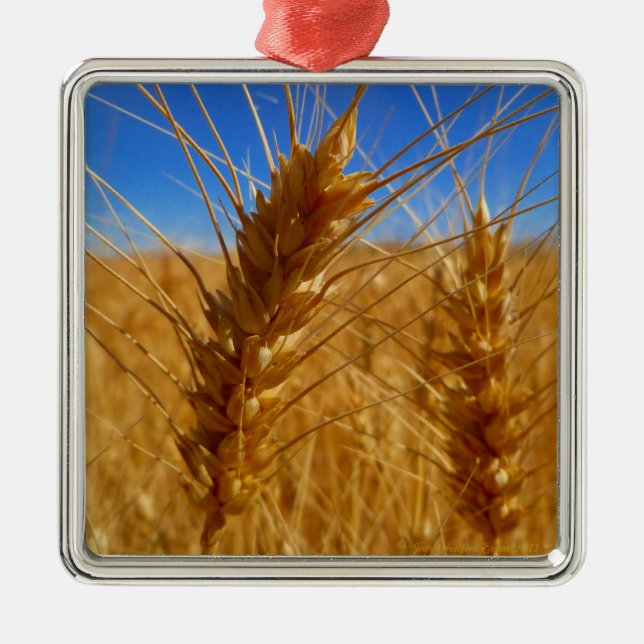 Wheat Metal Ornament (Front)