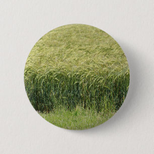 Wheat - Tasty! 2 Inch Round Button