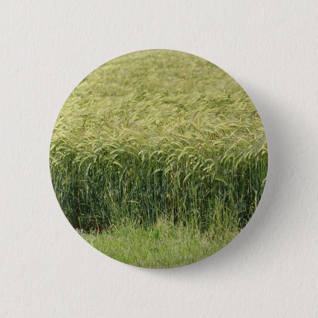 Wheat - Tasty! 2 Inch Round Button (Front)