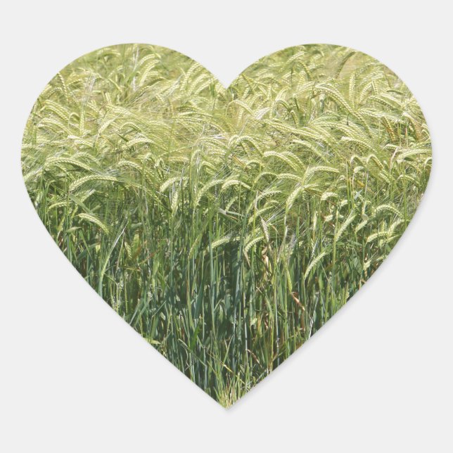 Wheat - Tasty! Heart Sticker (Front)