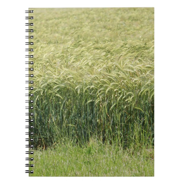 Wheat - Tasty! Notebook (Front)