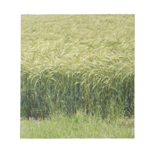 Wheat - Tasty! Notepad