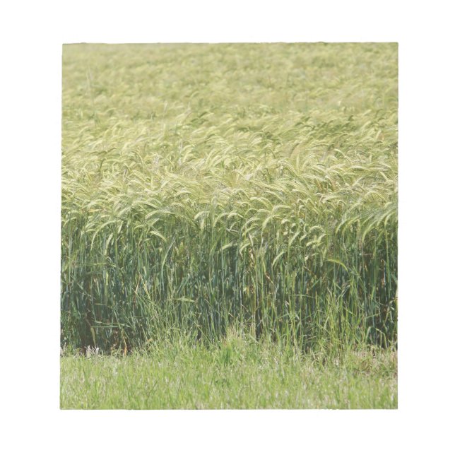 Wheat - Tasty! Notepad (Front)