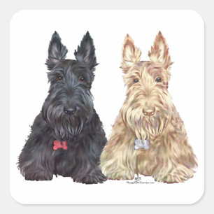 Wheaten and Black Scottie Dogs Square Sticker