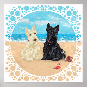 Wheaten & Black Scotties at the Beach Poster