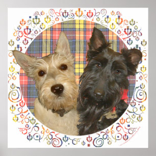 Wheaten & Black Scotties on Tartan Poster