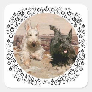 Wheaten & Black Scotties Running Square Sticker