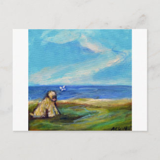 Wheaten Ocean Breeze Postcard