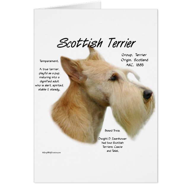 Wheaten Scottie History  (Front)