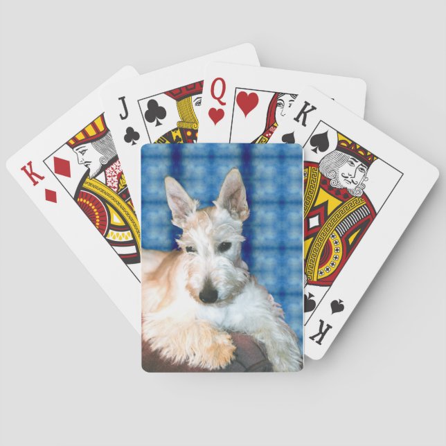 Wheaten Scottie Playing Cards (Back)