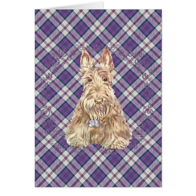 Wheaten Scottie Tartan (Front)
