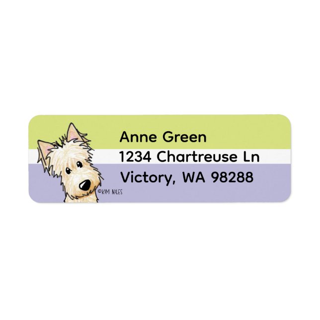 Wheaten Scottish Terrier (Front)