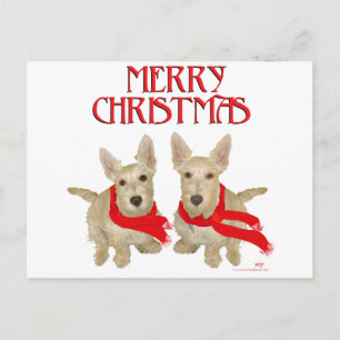Wheaten Scottish Terrier Chirstmas Postcard