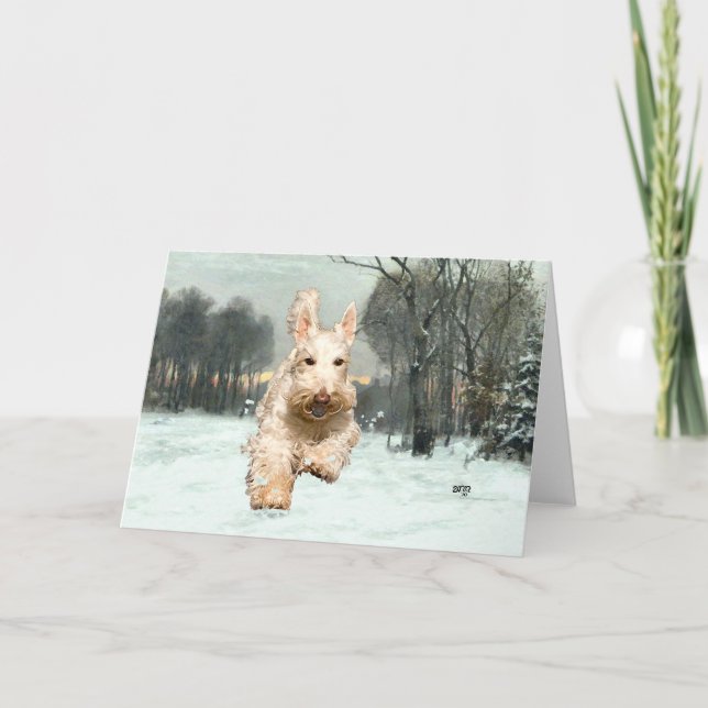 Wheaten Scottish Terrier Greeting Card (Front)