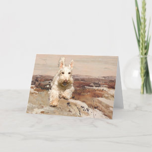 Wheaten Scottish Terrier Greeting Card