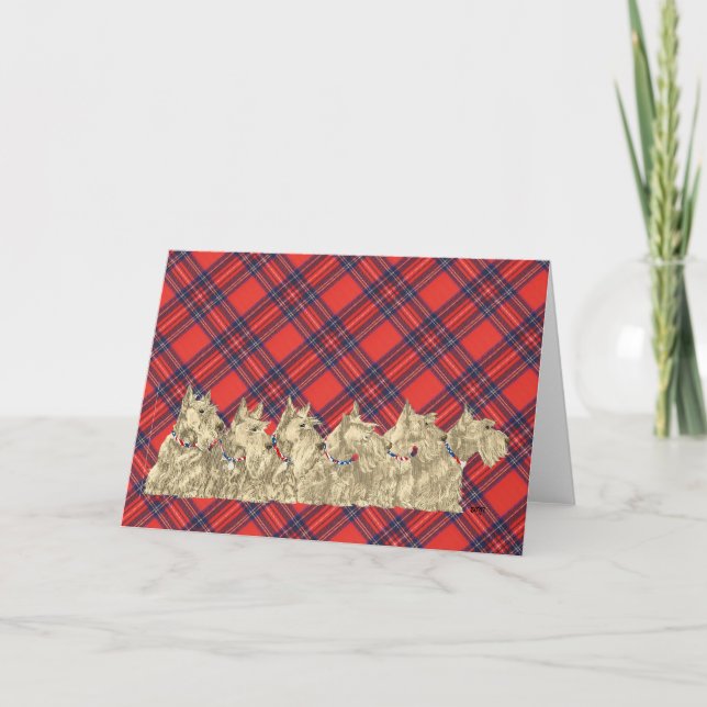 Wheaten Scottish Terrier Greeting Card (Front)