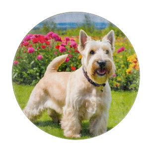 Wheaten Scottish Terrier playing in Flowers Grass Cutting Board