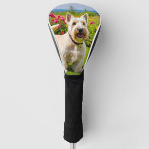Wheaten Scottish Terrier playing in Flowers Grass Golf Head Cover