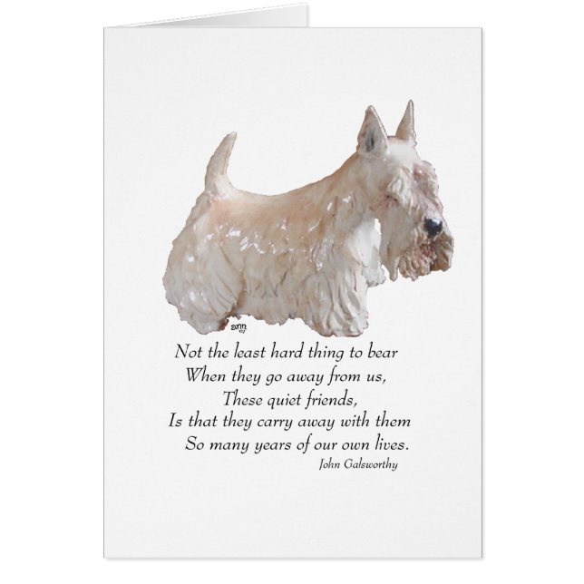 Wheaten Scottish Terrier Rainbow Bridge (Front)