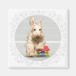 Wheaten Scottish Terrier Skateboard Magnet