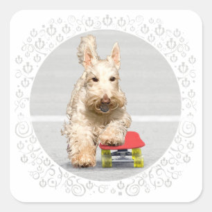 Wheaten Scottish Terrier Skateboard Square Sticker